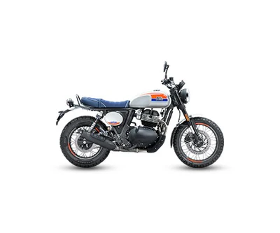 Bear 650_image